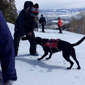 Meet your Posher, Stacey